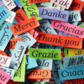 How to Build a Culturally Responsive School Environment for Multilingual Learners